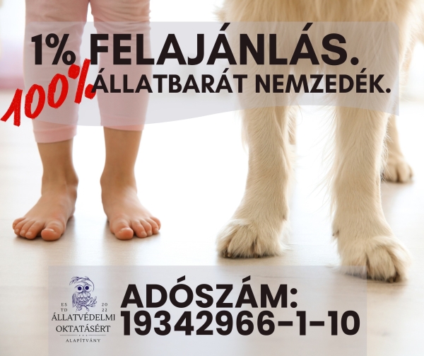 Adója 1%-val támogassa az Állatvédelmi Oktatásért Alapítvány munkáját!