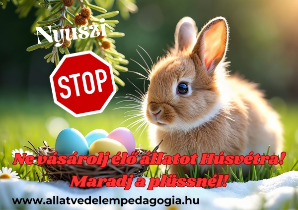 Nyuszi Stop! Kampány